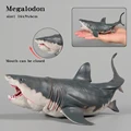 Great White Shark