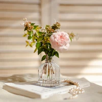 Transparent Glass Vase Hydroponic Plant Vase Nordic Minimalist Stripes Terrarium Crafts Home Living Room Table Decoration Gift 2
