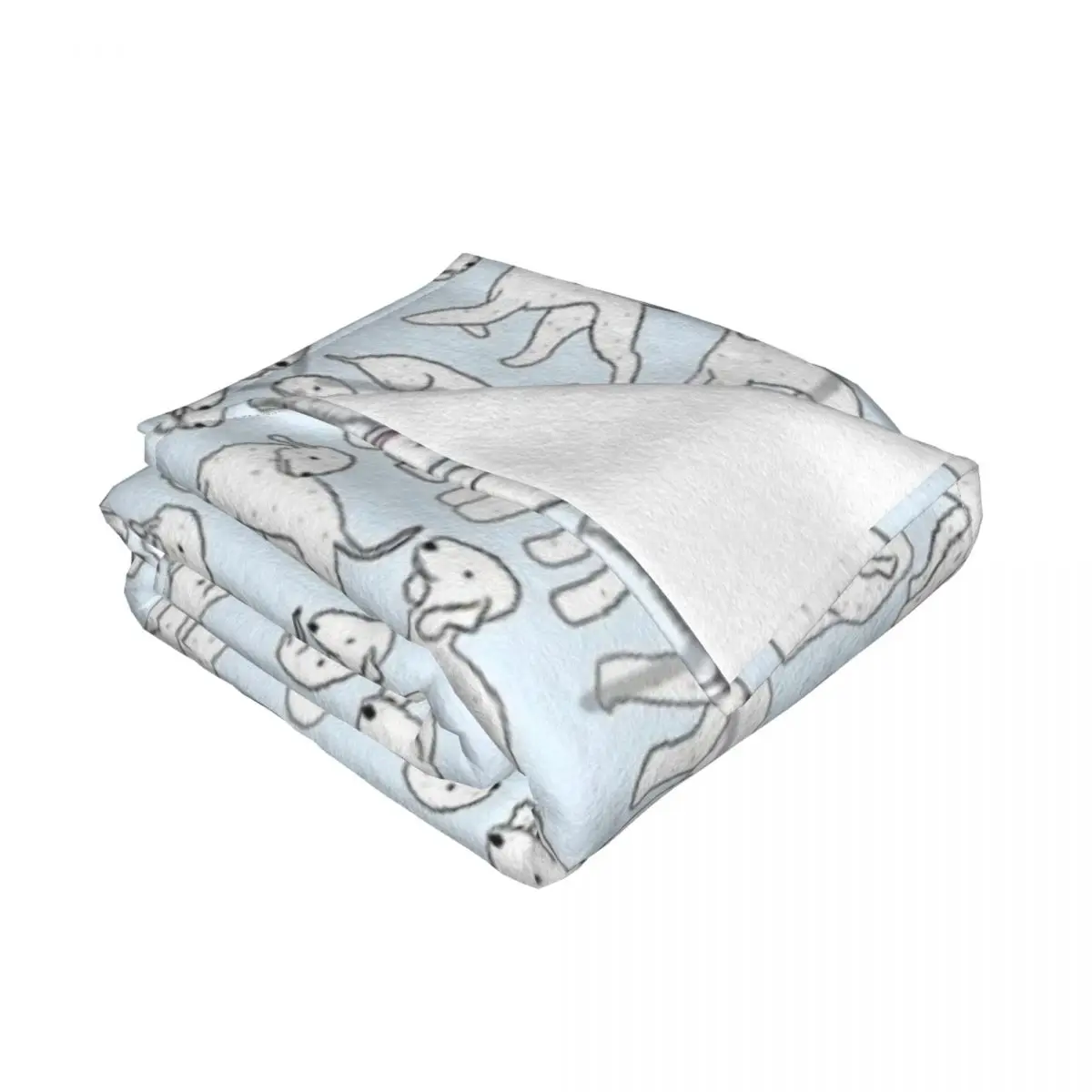 Bedlington �׸��� �Ϳ��� ������ ���� ���, ħ�� �� ħ�뺸, �̺� ���, ����