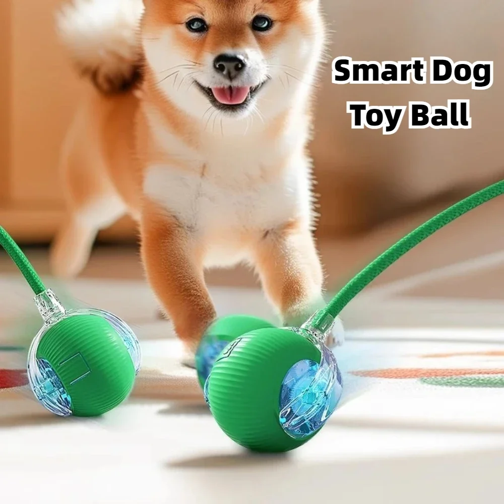 Pet  Dog Ball Toys USB Charging Electronic Interactive Automatic Rolling Balls for Dog Cats Puppy Kitten Simulated Tail Toys 2