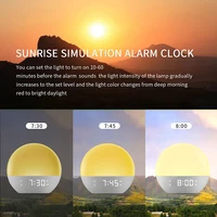 Wake Up Light Alarm Clock Sunrise/Sunset Simulation FM Radio Color Night Light White Noise Machine Bedside Clock for Home Decor 4