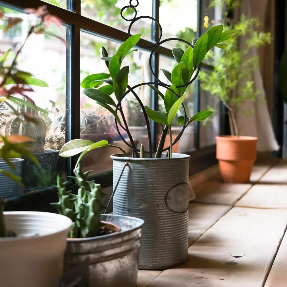 Description Picture 2 of itemTrellis For Potted Plants Indoor Small Stackable Metal Wire Houseplant Trellis For Climbing Plants Support