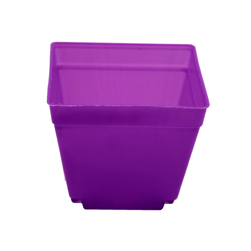 Set of 6 Colorful Mini Square Succulent Plant Pots with Trays