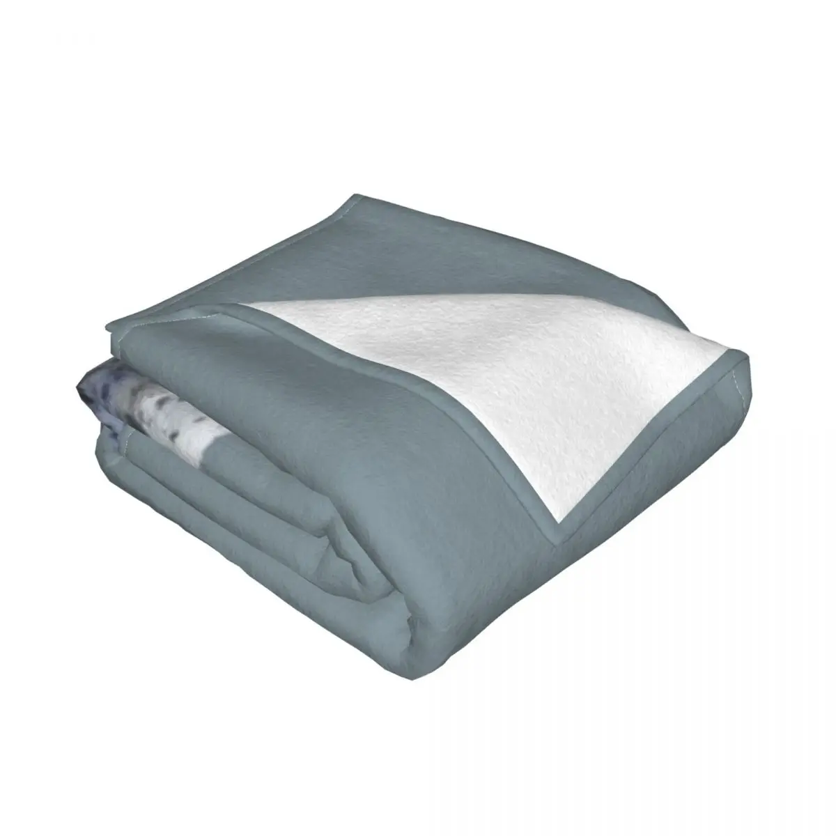 ������ ������ ��� ��� ���, ���� �ִϸ��̼� ���, ���� ���