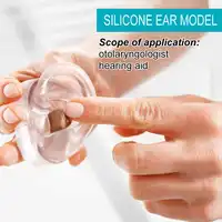 Modèle d'oreille humaine en Silicone Transparent, accessoire d'exposition de prothèses auditives, outil de démonstration d'enseignement, outil d'exercice d'impression d'oreille 2
