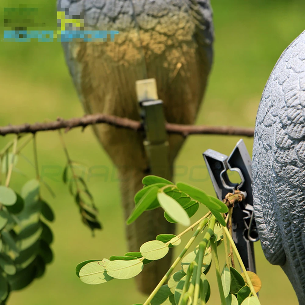 Description Picture 5 of itemLifelike Pigeon Practice Bow，Target Bait for Hunting Training, 3D, EVA, Animal Decoy, Practice, Outdoor Shooting