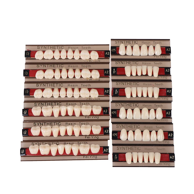 84pcs Dental Resin False Teeth Teaching Model Synthetic Polymer Teeth