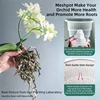 Meshpot Orchid Pots with Holes for Repotting Double Layer Plastic Imitate Ceramic Orchid Planter Provide Good Air Circulation 3