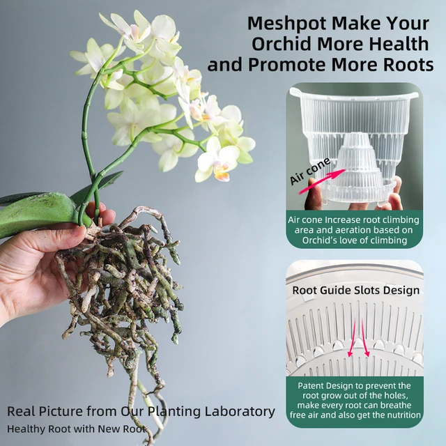 Meshpot Orchid Pots with Holes for Repotting Double Layer Plastic Imitate Ceramic Orchid Planter Provide Good Air Circulation 3
