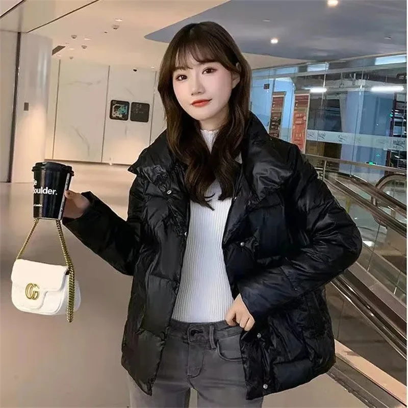Fashion Stand-up Collar Down Padded Jacket Female 2022 New Loose Padded Jacket Women's Short Women's Small Padded Jacket Commute