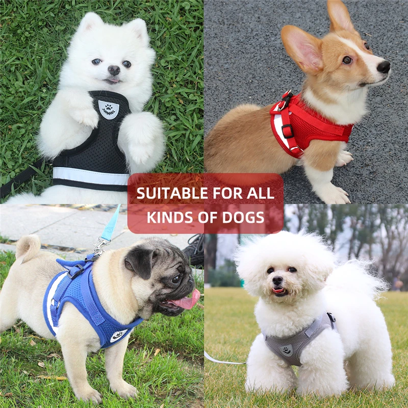 DIY Dog Wedding Harnesses Home Family, 45 OFF
