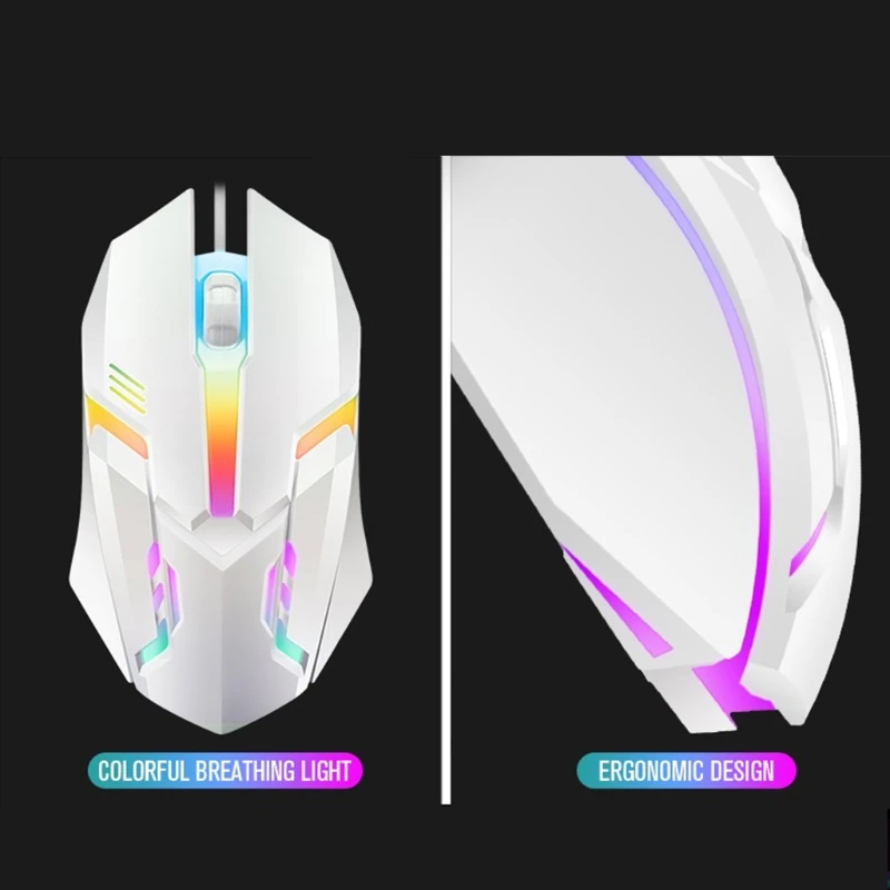 Computers e Electronics