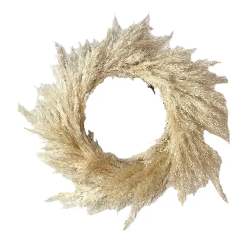 

Pampas Grass Wreath Handmade Dried Pampas Grass Wall Decor Beige Pampas Grass Decor For Home Boho Fall Decoration Grass Wreath
