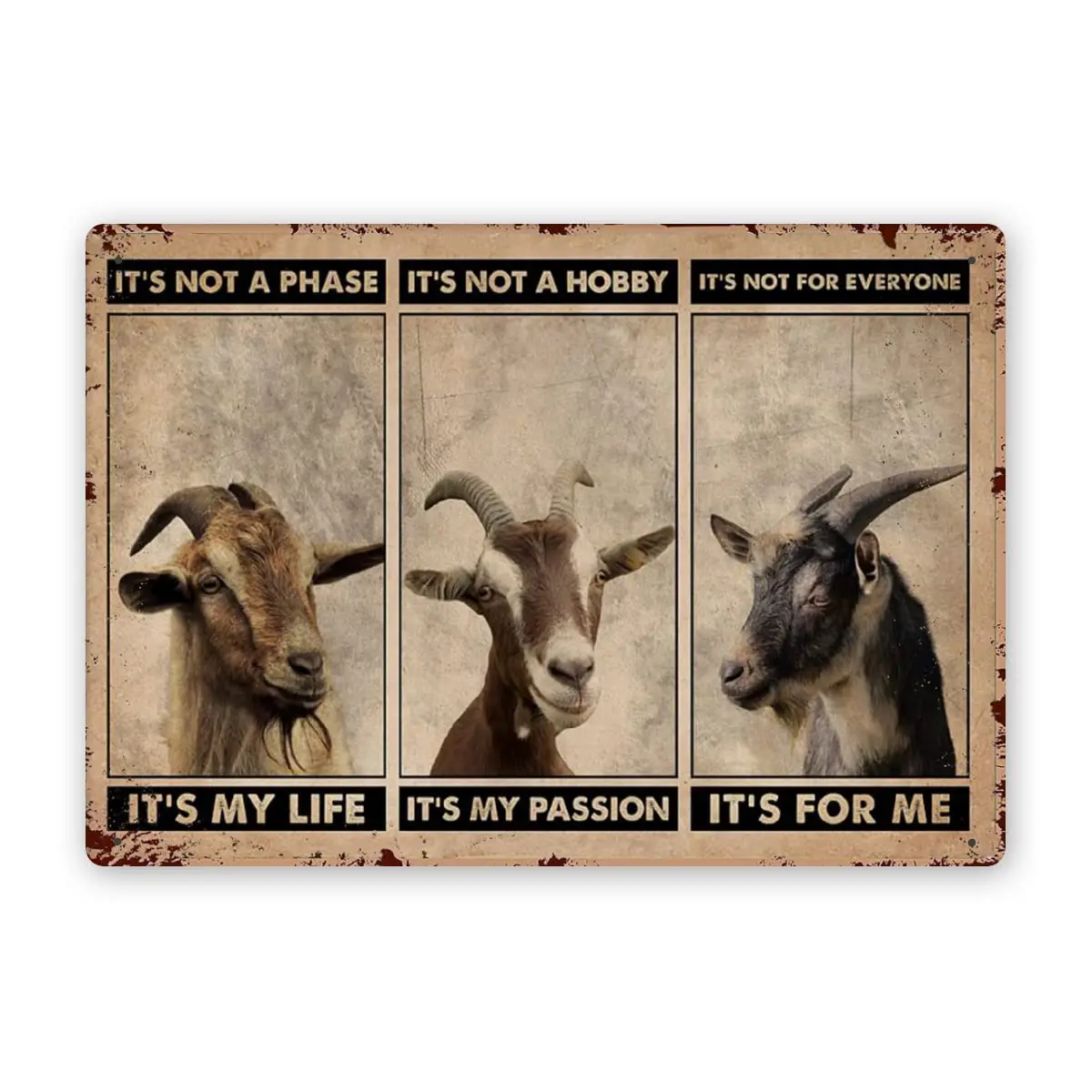 

Goat Art Wall Decor Goat Signs Decor Goat Metal Sign Goat Signs for Outside Barn Goat Decorations Outdoor Goat it's Not A Ph