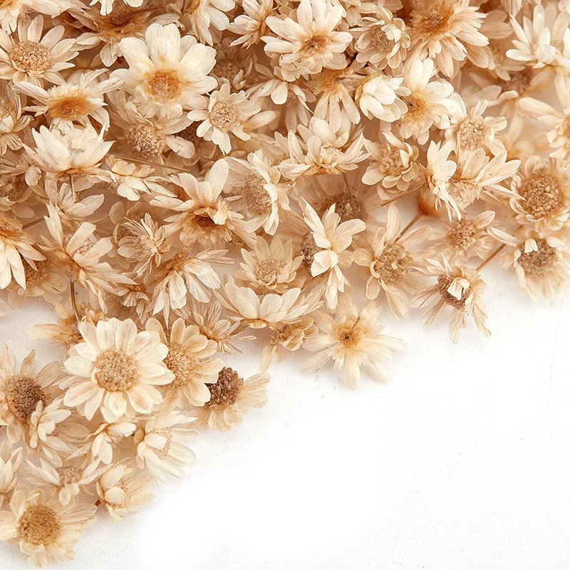 Artificial Flower 200or100 Pcs Dried For Epoxy Resin DIY Art Craft Candle Jewellery Making Glass Cover Ball Filler Accessories