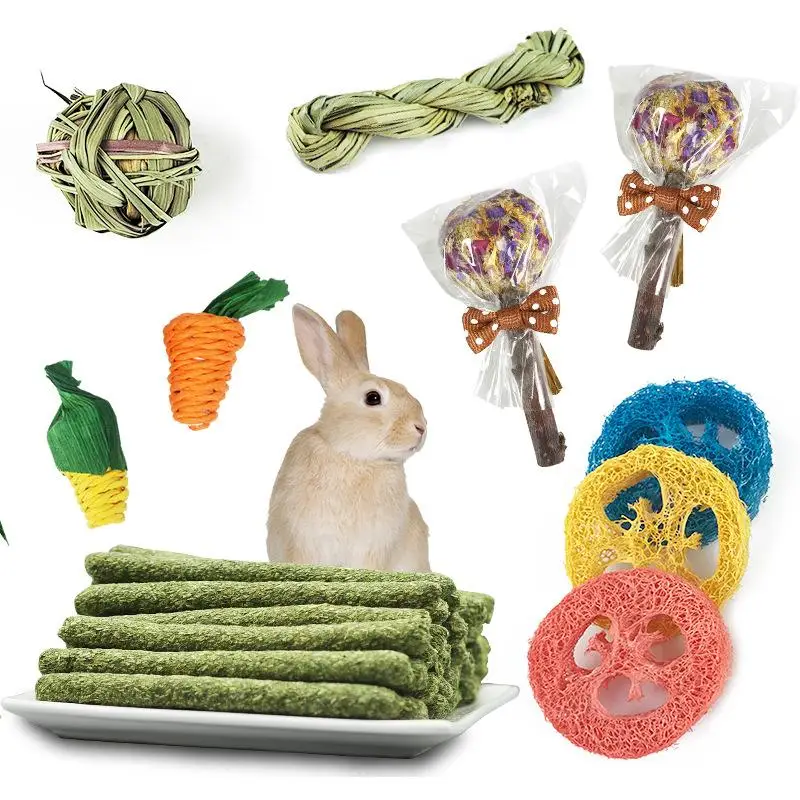 14pcs Rabbit Chew Toys Set Wooden Loofah Chinchillas Hamster Bunny Molar Toys