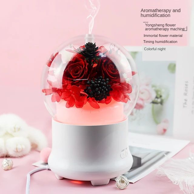 Valentine's Day Sale*) Anti Gravity Humidifier – EternalRose