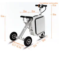 Bagages Scooters électriques petit Tricycle électrique 2 places Scooter de mobilité pliant léger voyage batterie amovible 300W 3