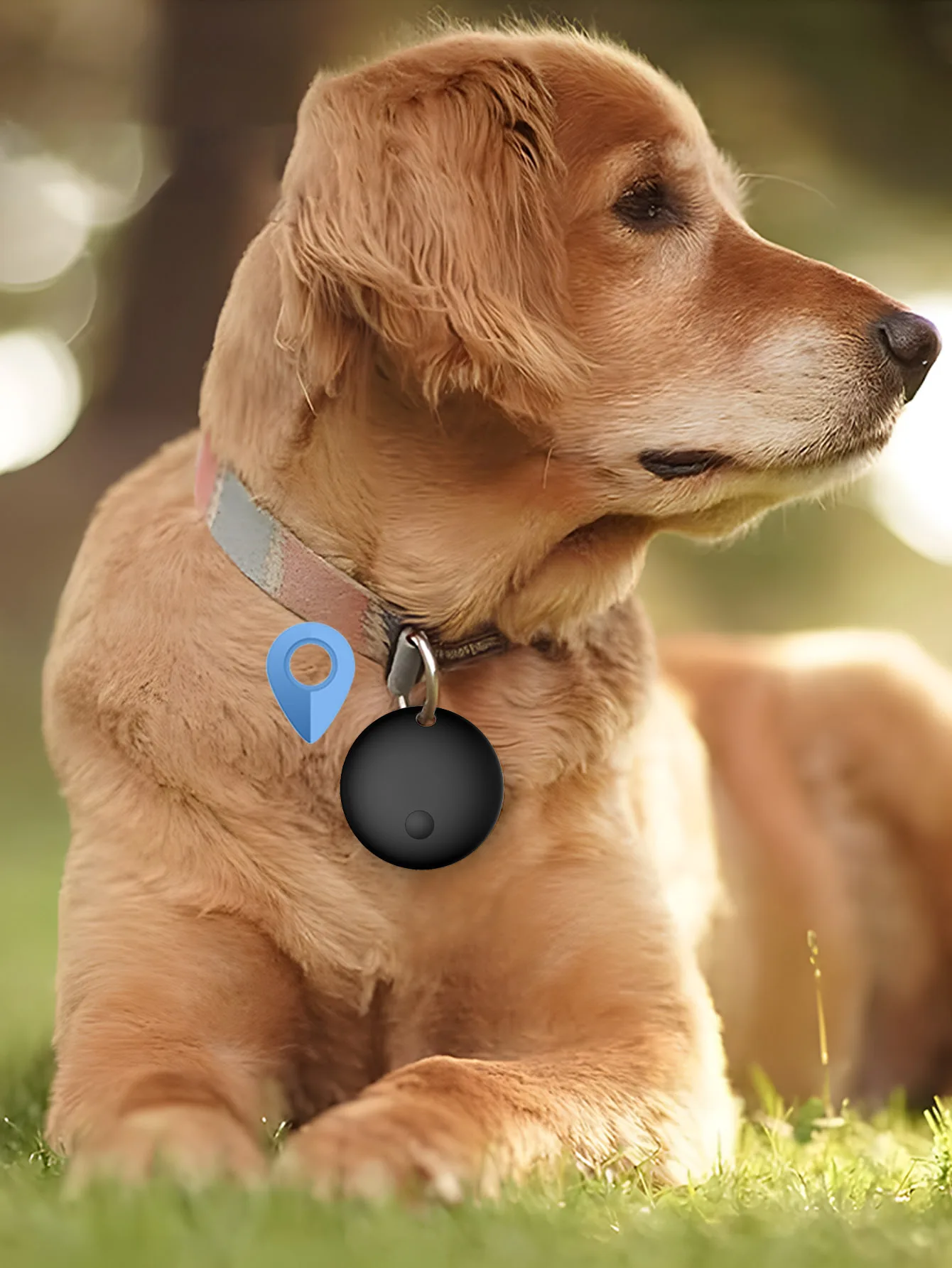 Suitable for Apple Airtag Locator, the Elderly Is Safe, Wallet Key Management, or Pet Care, All Enjoy Global Gps Precise Positioning Tracking, the Mini Body Shape Is Hidden and Powerful Guardian, Let Love and Important Items Never Lost (Apple Mobile Phone Only)