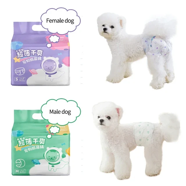 10pcs Pet Dog Diapers Males Females Absorbent Adjustable Doggy Disposable Underwear  Physiological Breathable Pants for Dogs - AliExpress