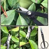 Professional Steel Long Handle Bonsai Scissors Plant Branch Shears Gardening Pruning Bonsai Scissors Flowers Plant Grafting Tool 2