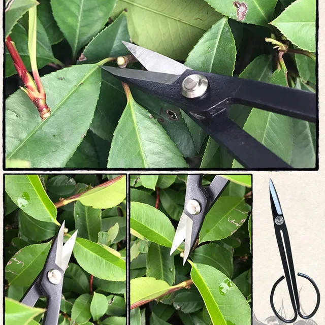 Professional Steel Long Handle Bonsai Scissors Plant Branch Shears Gardening Pruning Bonsai Scissors Flowers Plant Grafting Tool 2
