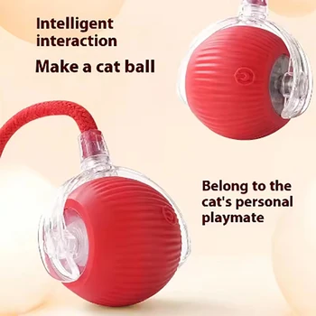 Pet interactive automatic rolling ball 1