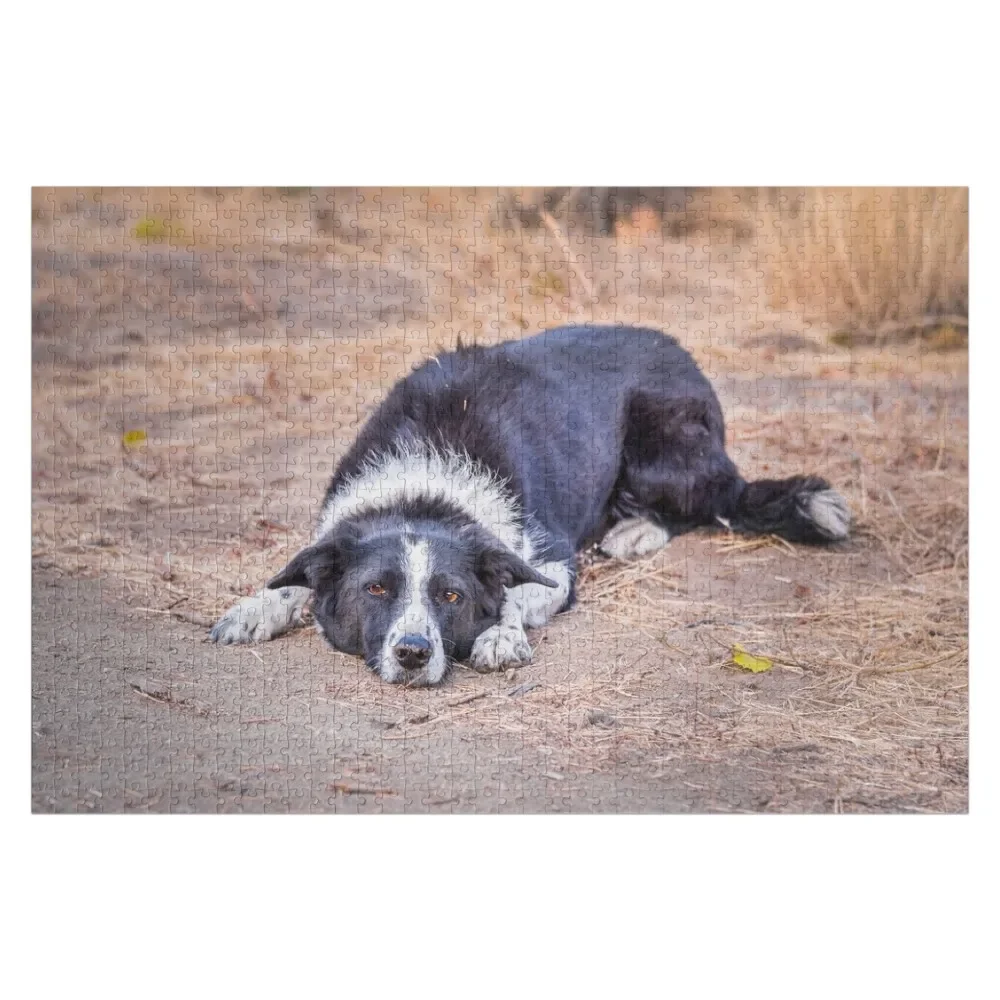 

Cute Border Collie Lying on Ground Jigsaw Puzzle Custom Wooden Gift Personalized Baby Toy Custom Puzzle