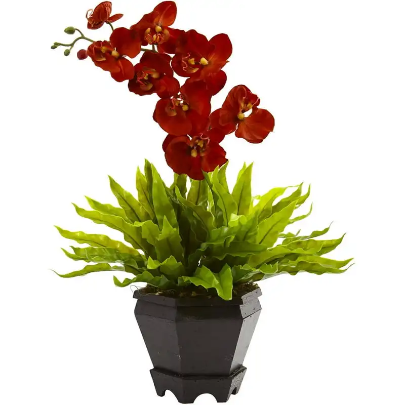 

Nest and Orchid Combo with Planter