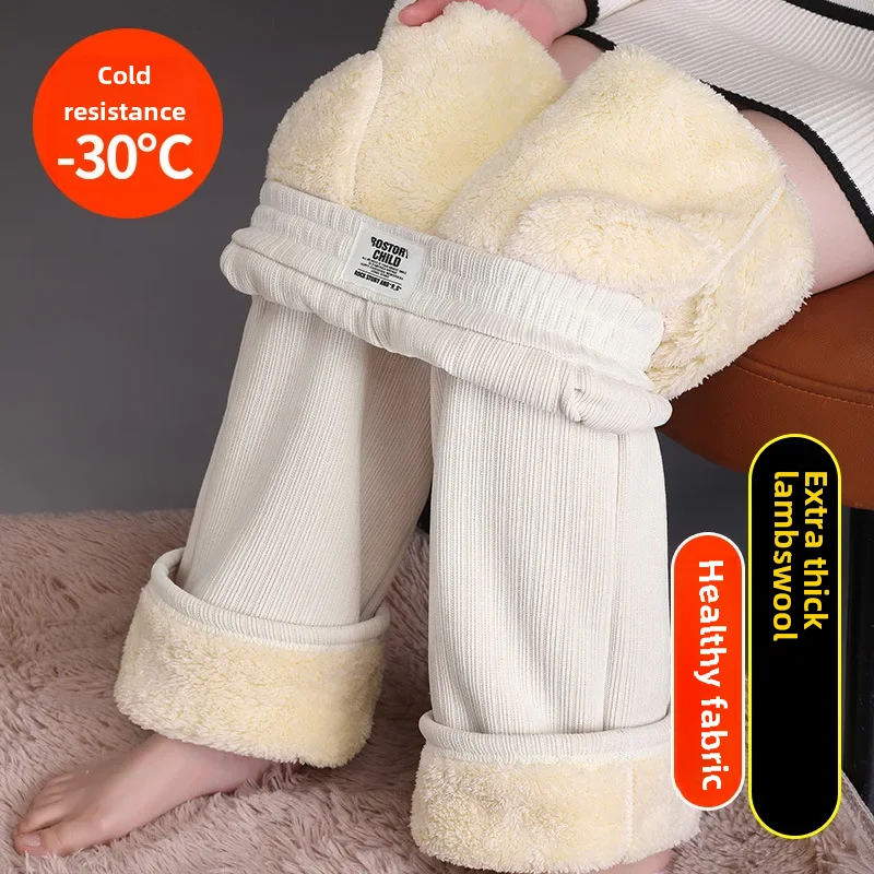 الصفحة الرئيسية