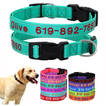 Reflective Dog Collar Engraved with Name and Phone Number - Nylon with Reflective Webbing Hi Vis