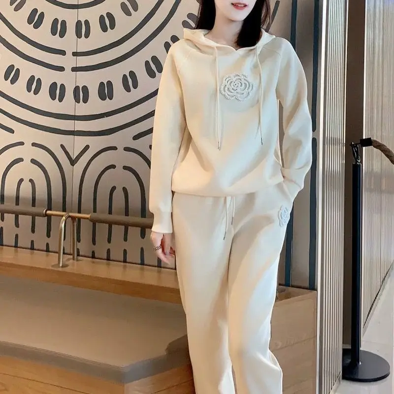 Autumn and Winter New Versatile Fashion and Casual Temperament Reduced Age Loose Hooded Sweater Two Piece Set for Women