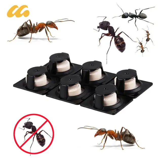 Ant Csapda És Scavenger Biztonságosan Beágyazott Önálló Csali Állomás Nem Káros Aeroszolok Vagy Rendetlen Porok Kártevőirtó Termék