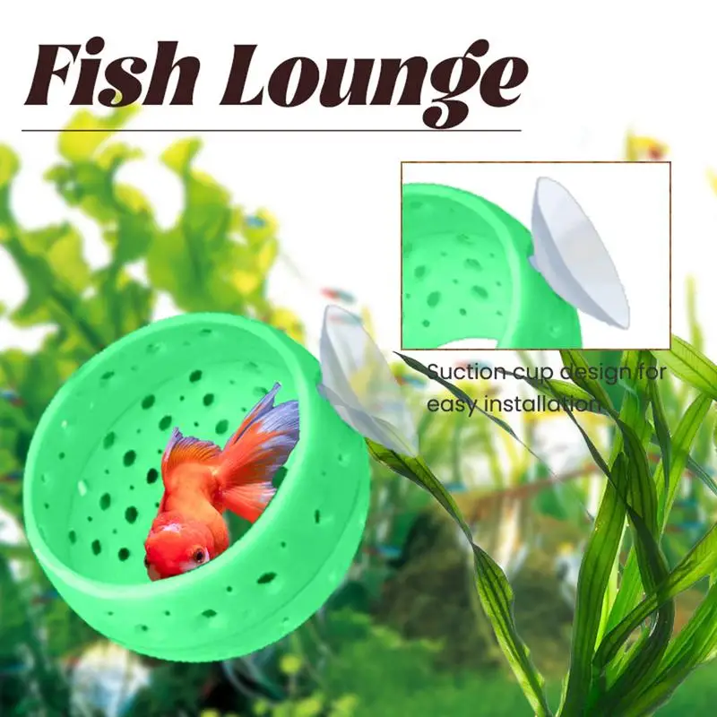 Betta Tunnel Aquarium Cave With Safe Hollow Design Red Shrimp Live Plants Fish Tank Holder Hammock Planter Small Fish And Shrimp