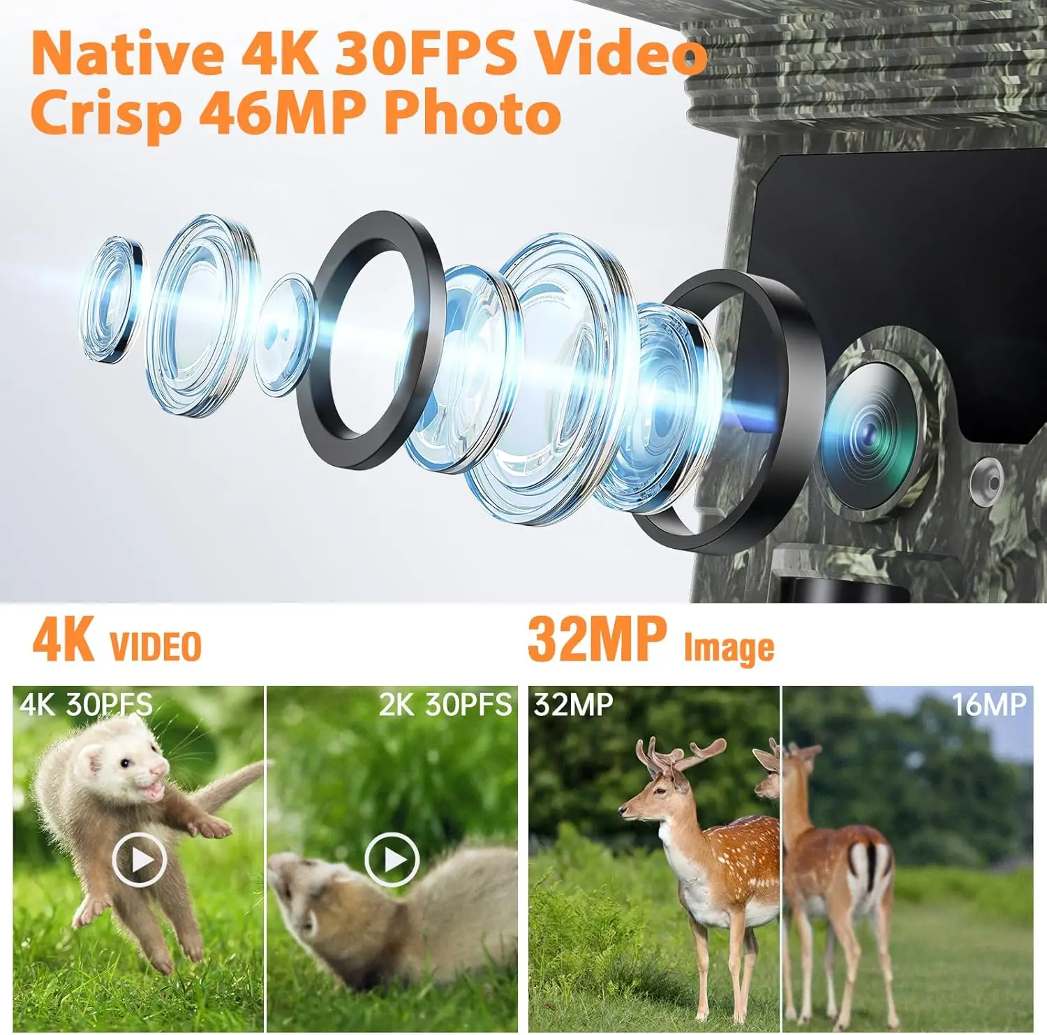Caméra de Chasse Vue 8