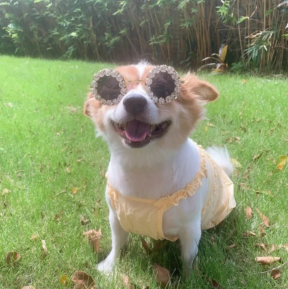 애완 동물 강아지 안경 라인 석 선글라스 고양이 사진 장식 패션 선글라스 액세서리 애완 동물 제품 강아지 선글라스