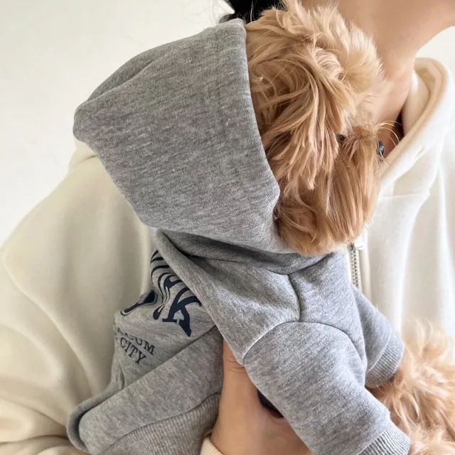 S6a61701285db45a0996a854186ca7a24k.jpg Autumn and Winter Pet Sweatshirts Warm Clothes for Dogs Teddy Letter Print Hoodies Bichon Frise Fleece Two-Legged Clothes