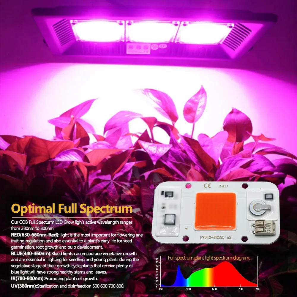 AC220V 50W LED COB Full Spectrum Plant Growth Lamp No Need Driver LED Grow Used For Indoor Plant Seedling Vegetable Hydroponics