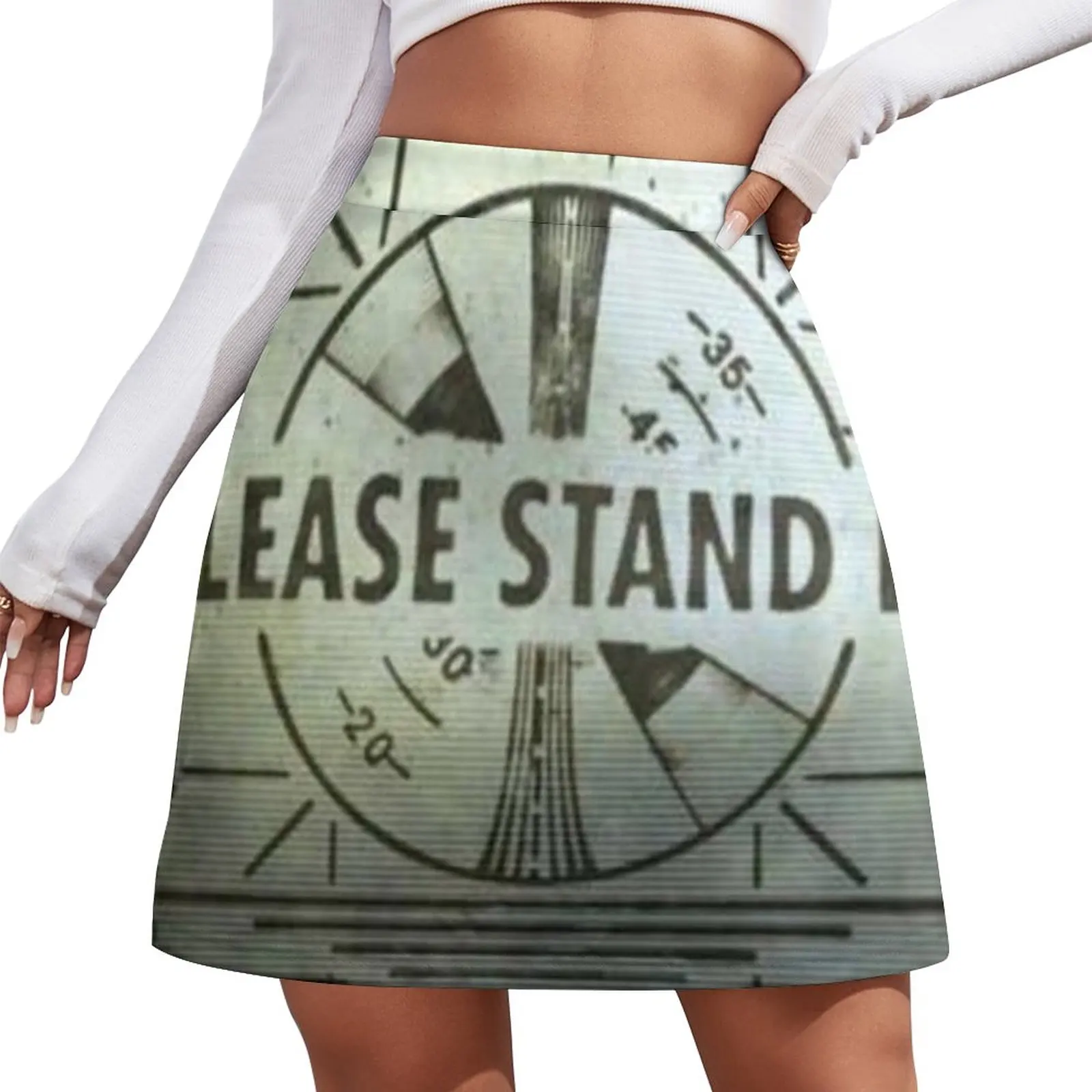 Please Stand By Mini Skirt Skirt shorts novelty in clothes