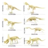 3D Skeleton Dinosaur Hands Craft 7 Pieces DIY Dinosaur Bone 3D Puzzles for Adults Dinosaurs Skeleton Model Puzzles STEM Toys 5