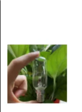 6 Pack Light Bulb T26 E12/E14/E17/E27/B22 25/15W 120V/230V Incandescent Small Edison for Microwave, Oven, Fridge, Salt Lamp