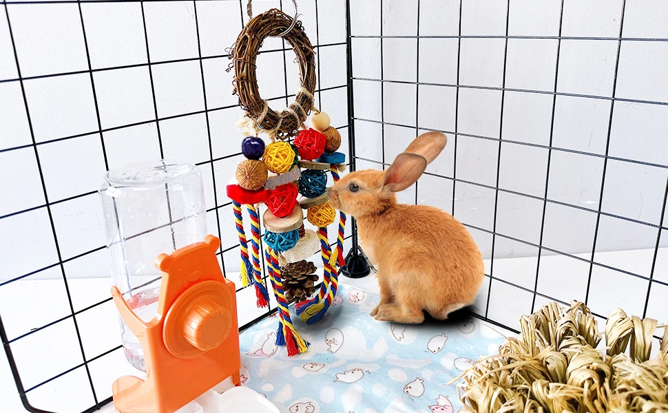 Enrich Cage Life