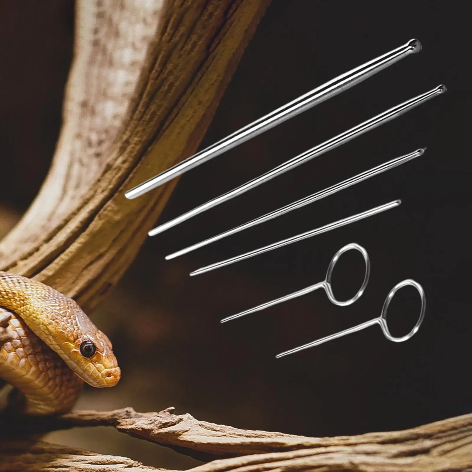 Reptile Snake Gender Detection Tool for Different Size Assorted Color