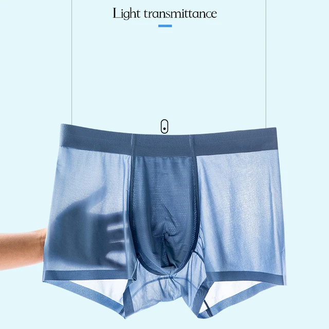 Men Ice Silk Underwear Transparent See Through Boxer Breathable Solid Color  Ultra Thin Clear Quick Drying Sexy Silk Boxer Summer - AliExpress