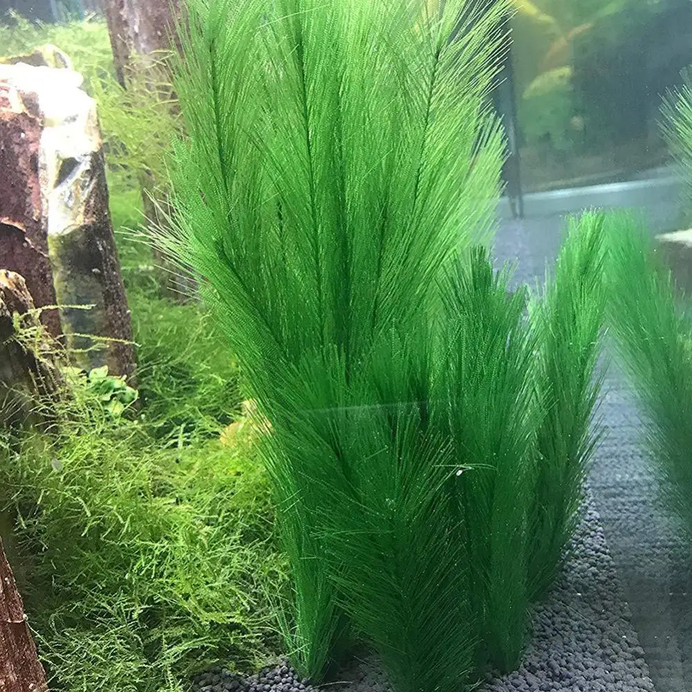 Artificial Aquarium Plants 1/3Pcs 28/40cm Aquarium Fish Tank Artificial Water Grass Aquatic Plant Landscaping Decor Underwater Plants Water Weeds Ornament
