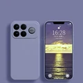 Lavender Grey