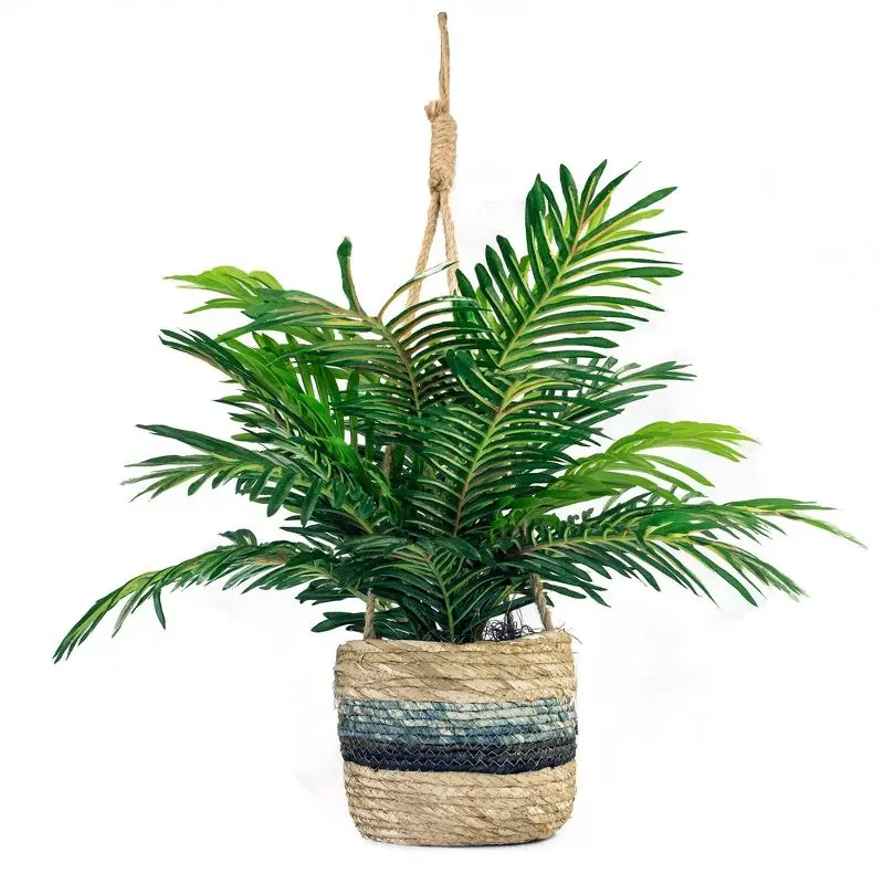 

30" x 16" Artificial Phoenix Palm Plant in Hanging Basket