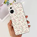 Case-c71