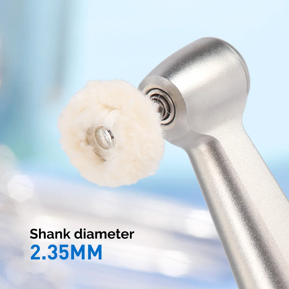 5 Pcs/Bag Azdent Dental Polishing Brush Wheel For Low-Speed Handpiece Dentistry Teeth Polisher