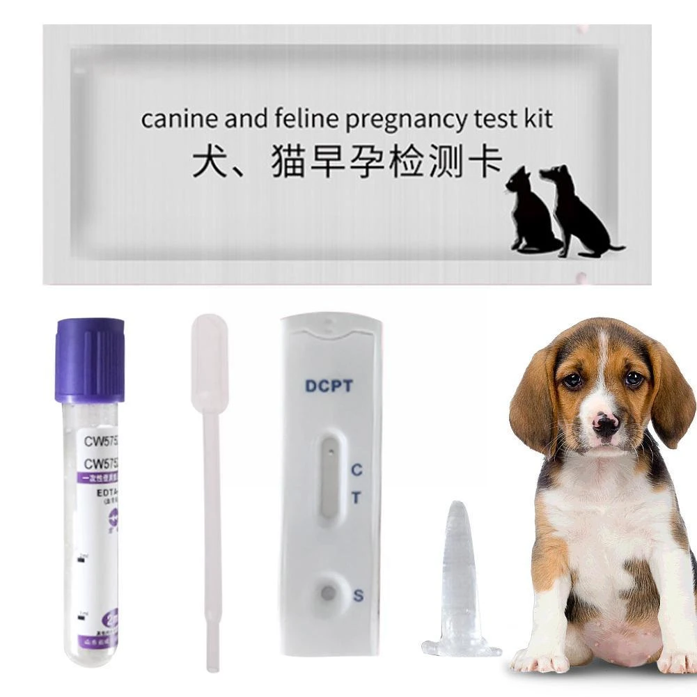 Is There Pregnancy Test For Dogs